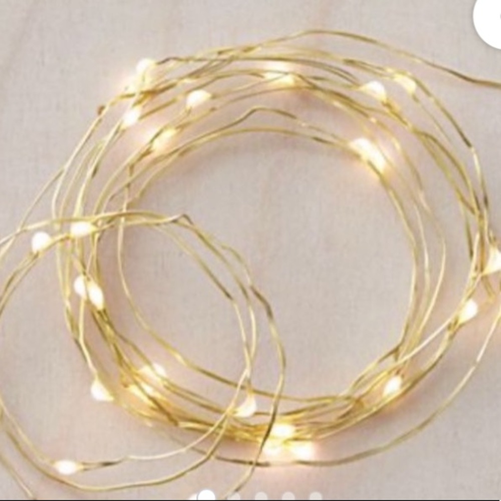 NWT 30 feet Urban outfitters tangled vine string lights. Firefly.Two 15 ft packs
